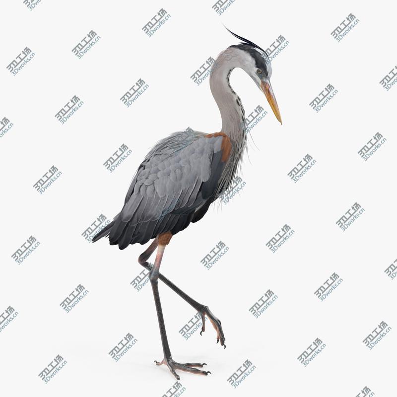 images/goods_img/202104093/Grey Heron Standing on One Leg model/1.jpg